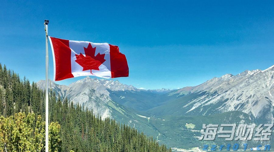 零跑B01上市:重新定义主流轿车