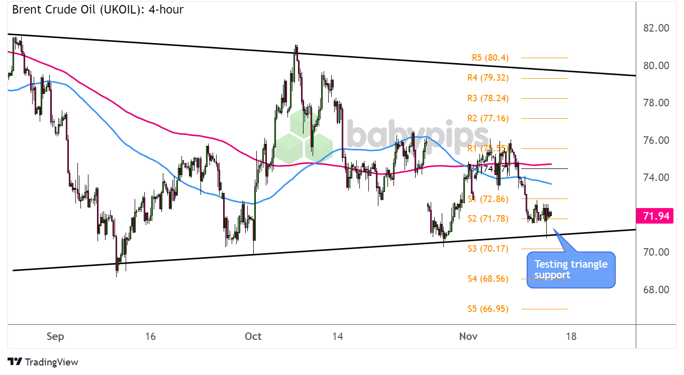 趁热打“贴”，三伏天灸开启！温阳驱寒、调理脏腑正当时